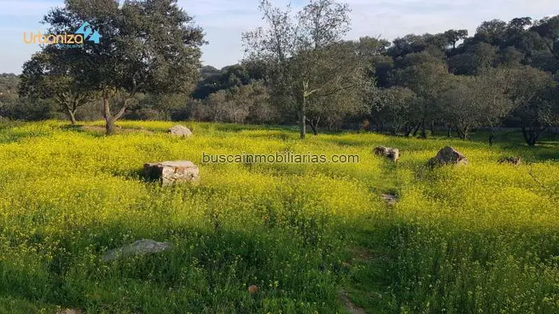 Parcela Rustica en Venta en Urbanizacion Campomanes Badajoz