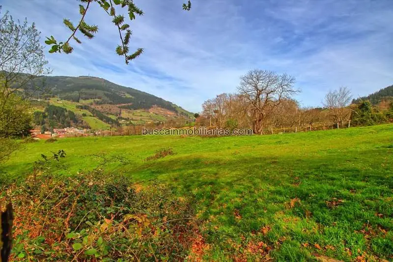 Parcela Rustica en Venta Balmaseda 26963m2