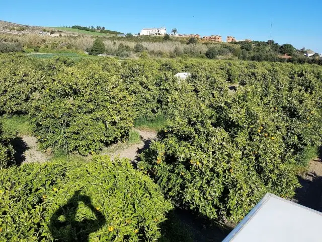 Piso de 3 Dormitorios en venta San Luis De Sabinillas, España