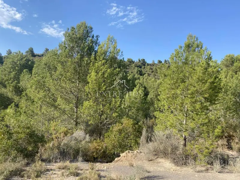 Terreno Rustico en Venta Borriol Castellon 65731m2