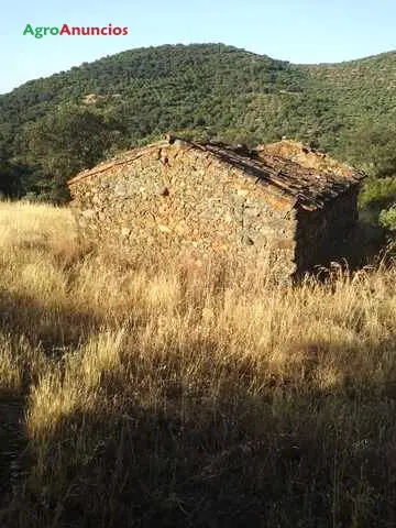 Venta  de Finca de encinas y monte bajo en Córdoba