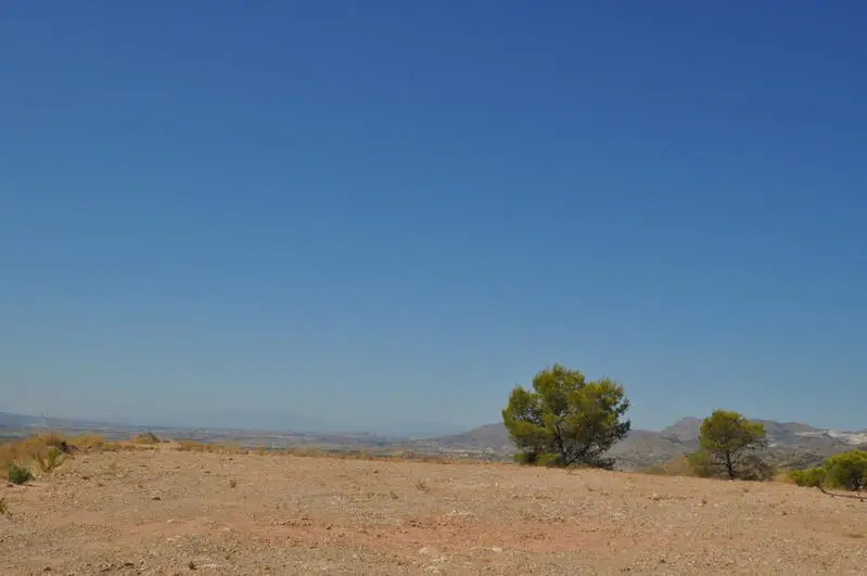Terreno en Venta con Vistas Panorámicas en Murcia