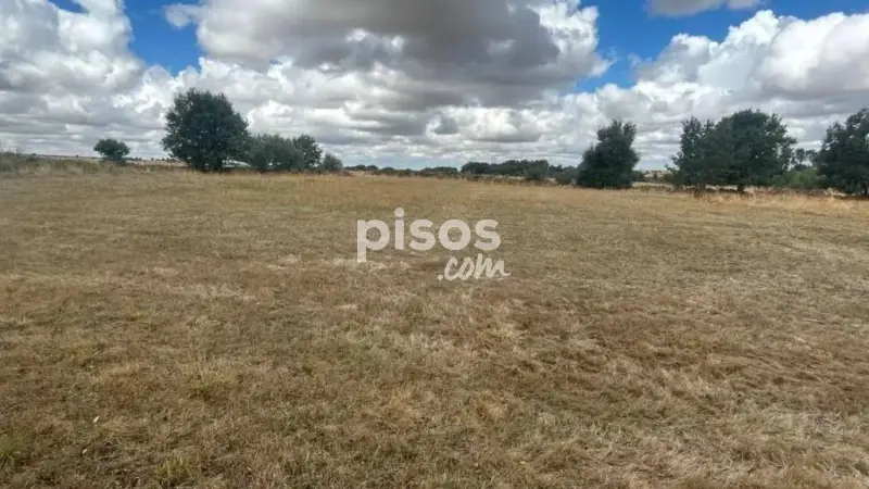Finca Rustica en Venta cerca de Tizneros