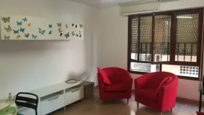 Alquiler piso estudiantes centro sin honorarios