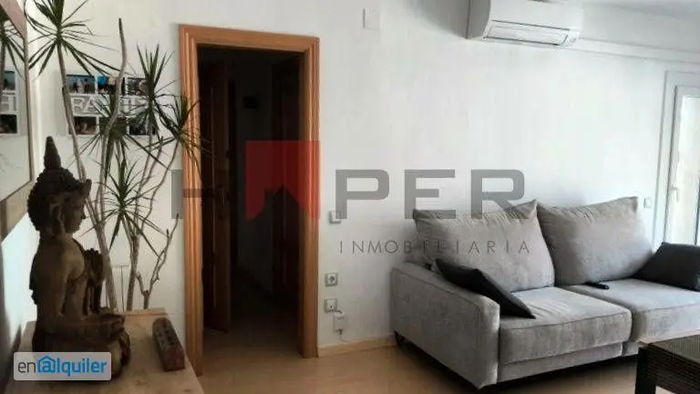 Alquiler Piso Ascensor Singuerlin Temporal Pilotos TCPs