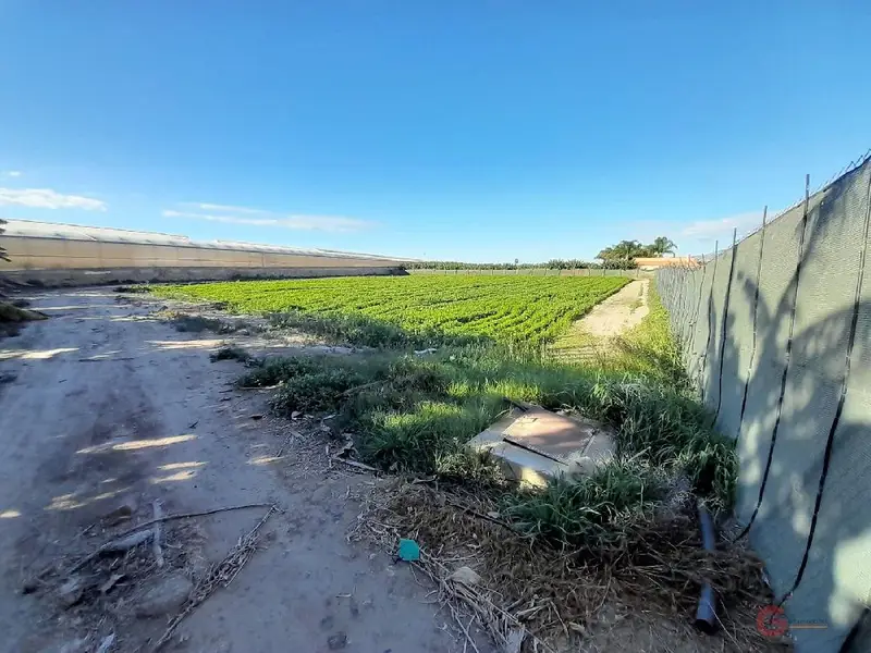 Venta Terreno Rustico 4000m2 Cultivo Puntalón Motril