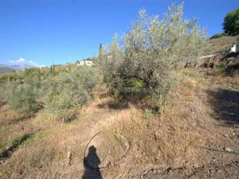 Parcela en Venta en Cómpeta - Vistas Panorámicas