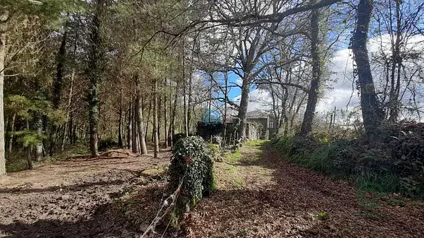 Finca Rustica con Edificaciones para Restaurar en Lugo