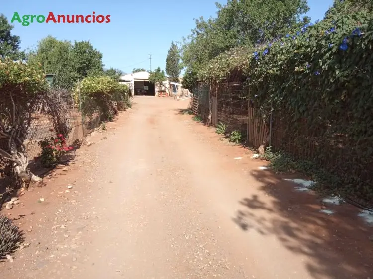 Venta  de Finca de regadío en Almería