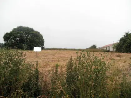 Venta Parcela Abegondo 3300m2 600m2 Construccion