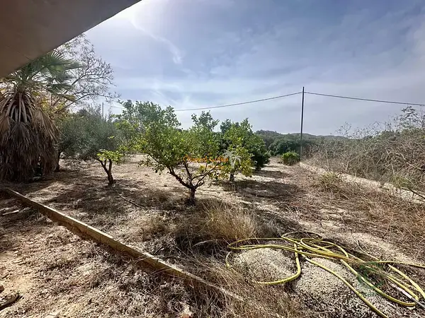 Refugio de Montaña cerca de Elche con Olivar y Golf