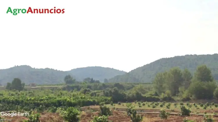 Venta  de Finca de regadio con almacén en Valencia