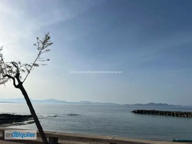 Alquiler Planta Baja Arta Estilo Mallorquin