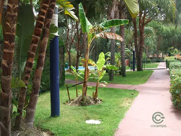Casa Pareada Tres Dormitorios Golf