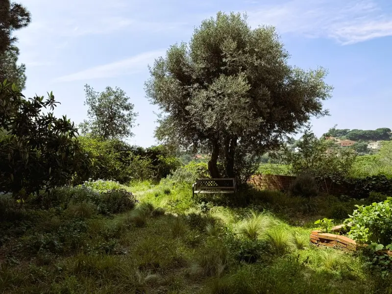 Casa con Chimenea y Vistas al Mar en Rocafort