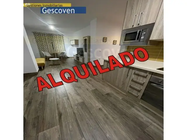 Gran Apartamento 2 Dormitorios Terraza Parking Wifi