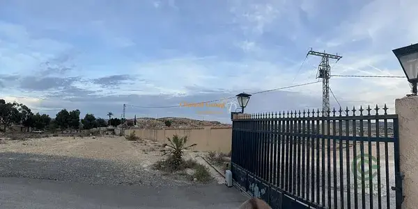 Parcela con Casa en Novelda 10000m2
