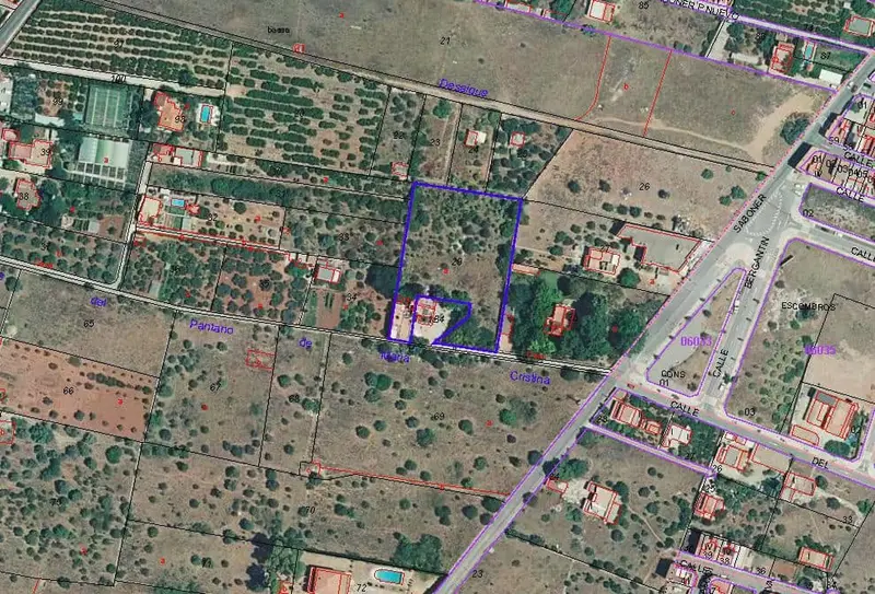 Finca Rustica en Castellon 3848m2 Dos Viviendas