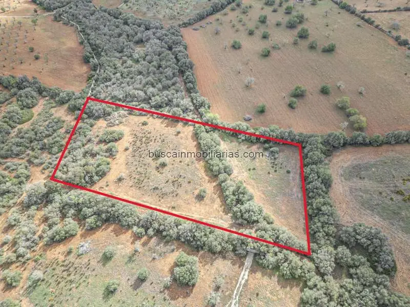 Parcela Rustica en Venta Campos 16095m2