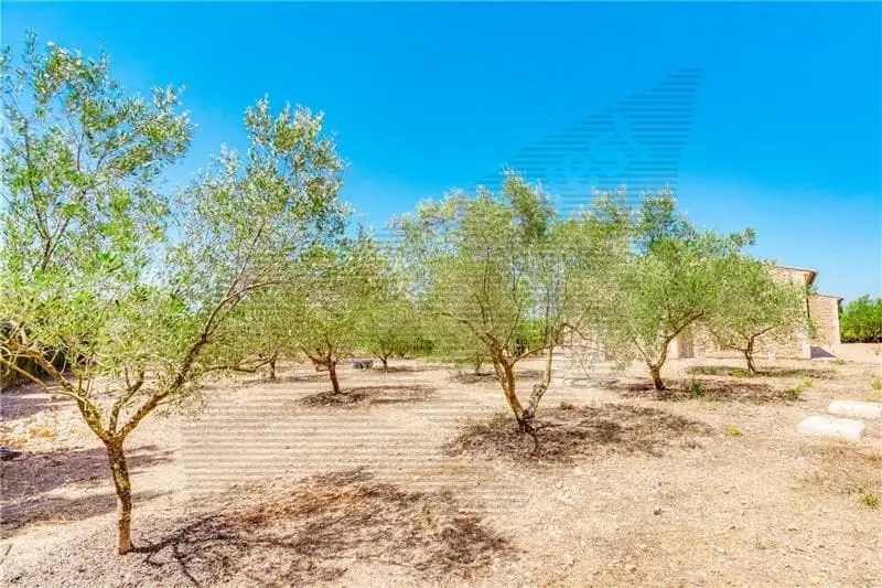 Finca Rustica en Venta Llucmajor Mallorca