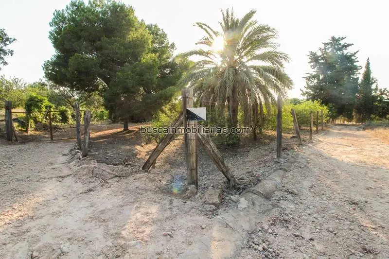 Parcela Rustica Productiva Elche Vista al Valle Cerca de la Playa