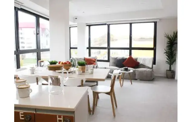 Rent 1 bedroom apartment in Pamplona
