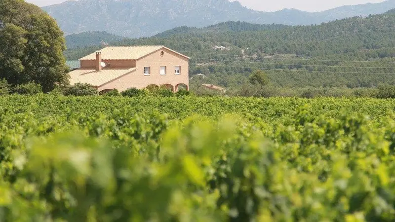 Finca Rustica 60 Hectareas El Perello Tarragona