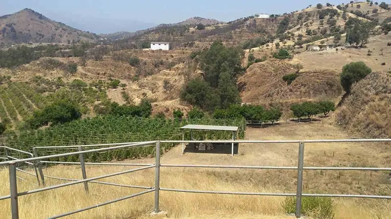 Casa de Campo con 6 Dormitorios y Establos en Coin