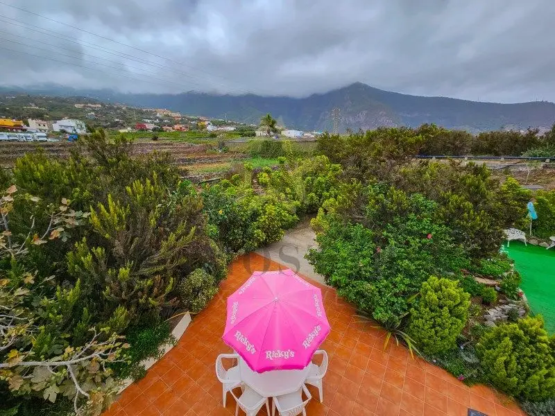 Venta Finca Rustica Los Realejos 27870m2 300 Aguacateros