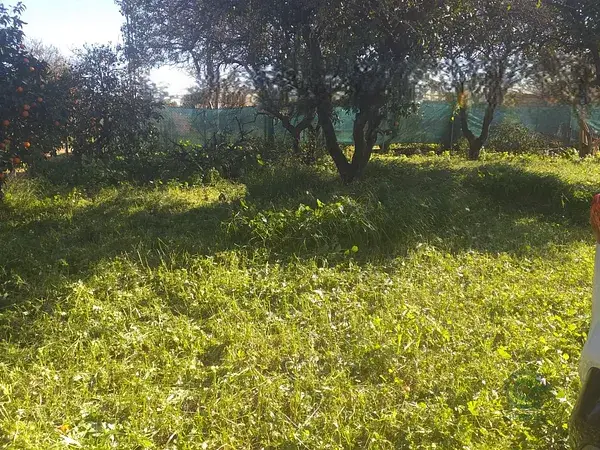 Parcela Rustica en venta cerca de Alcala de Guadaira