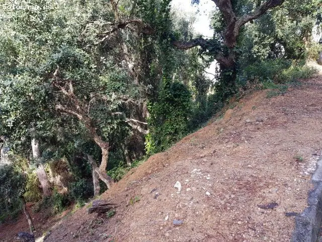 Parcela en Venta Serra Brava Lloret de Mar