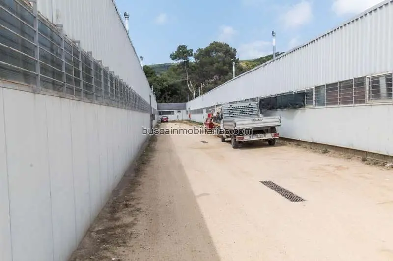 Parcelas Rusticas en Mataro Alta Rentabilidad Inversión