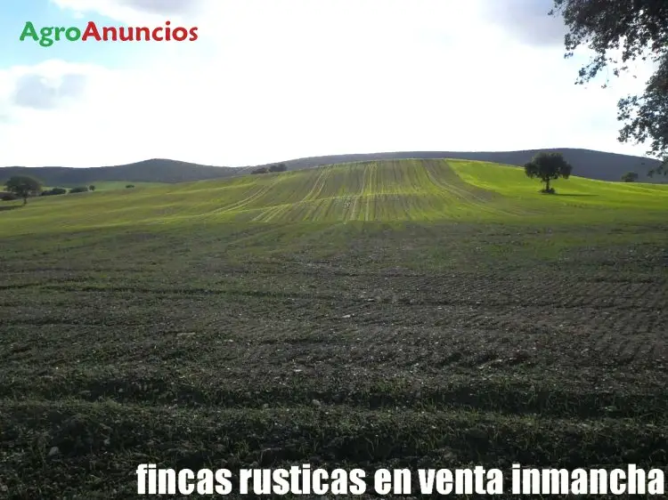 Venta  de Terreno de secano en Ciudad Real