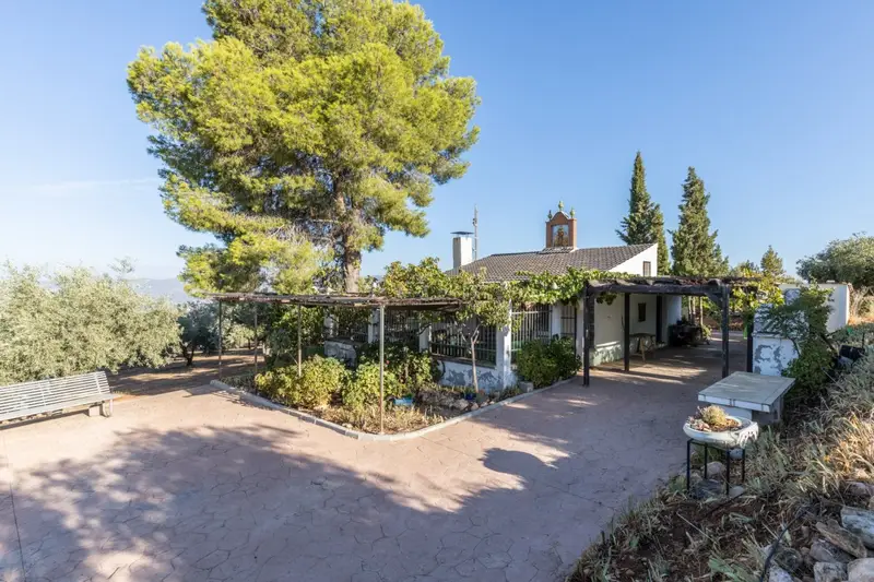 Venta Casa con patio en Instituto Cogollos Vega