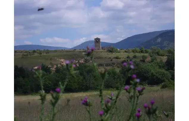 Alquiler de Casa Rural con Encanto en Santiuste de Pedraza Segovia