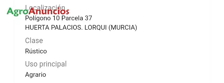 Venta  de Finca de regadío en Murcia