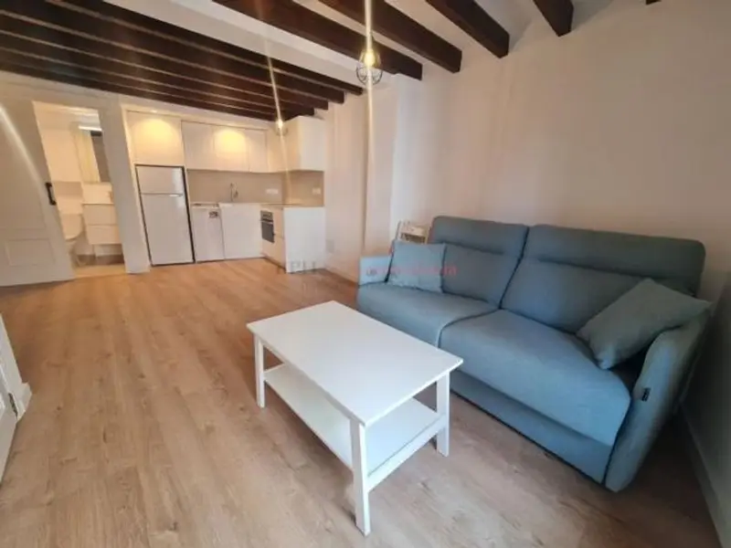 venta Piso en Centre, Palma de Mallorca (49171619735.108900)- Globaliza