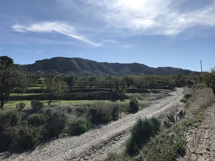 Finca de 4 Dormitorios en Venta en Lorca