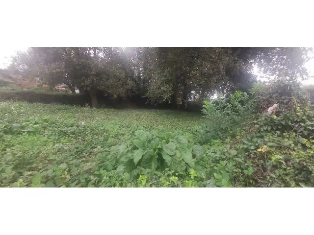 Terreno 1000m2 Santiago Casa Unifamiliar Zona Norte
