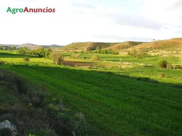 Venta  de Terreno de secano en Soria