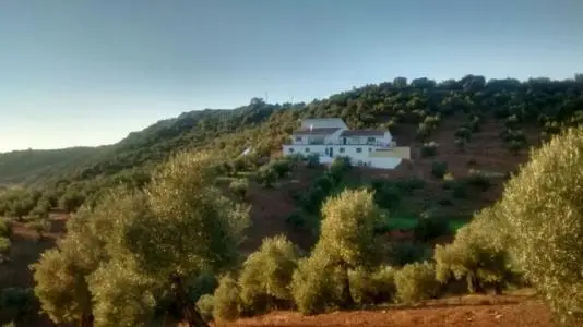 Casa Ecologica Olivar Montoro Cordoba