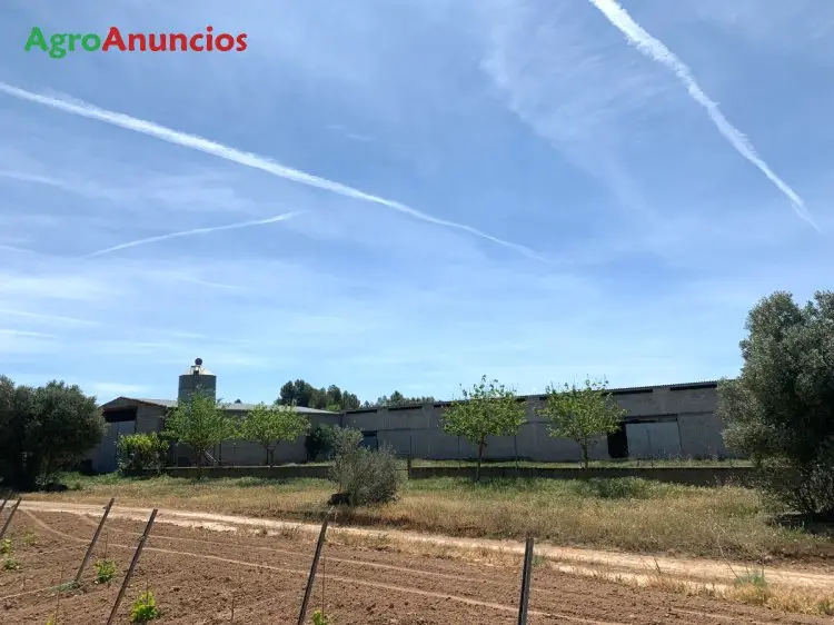 Venta  de Nave ganadera en Tarragona