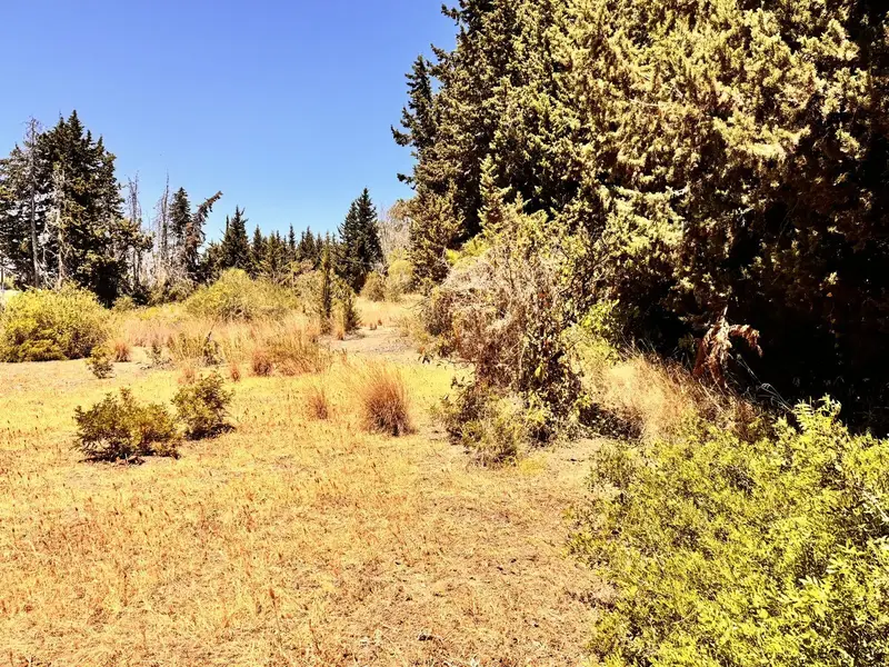 Terreno en Venta Estepona para Desarrollo Turistico