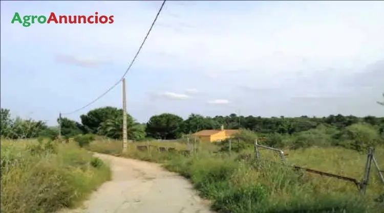 Venta  de Finca en colonia mojón blanco en Valencia