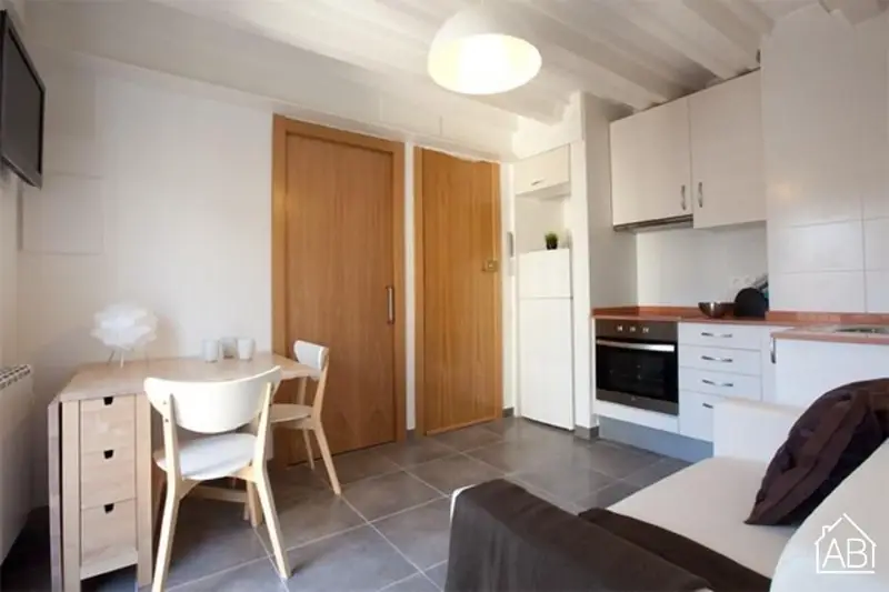 Apartamento con 1 Dormitorio en Barceloneta Playa Barcelona