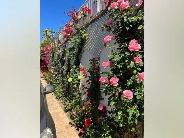 Casa-Villa de 5 Dormitorios en venta Calahonda, España