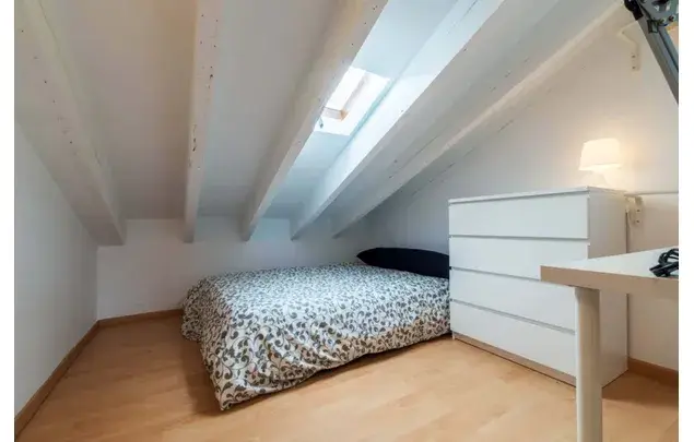 Habitacion 250m2 Madrid Alquiler 1 a 18 Meses