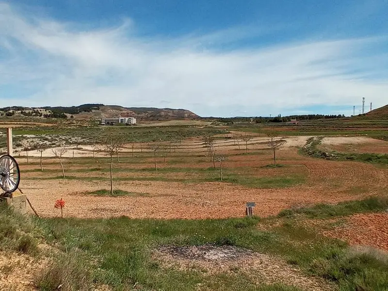 Finca Rustica en Teruel con Pinar y Nogales