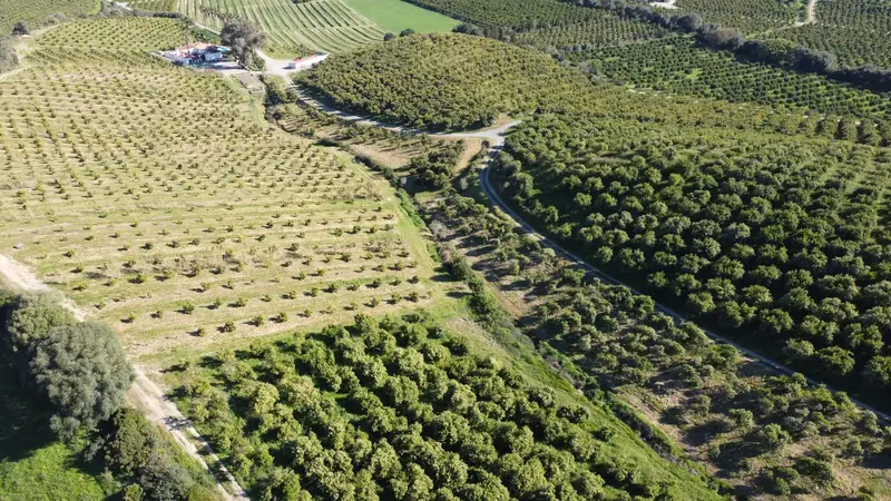 Terreno en venta Casares, España