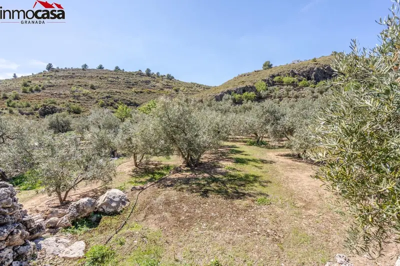 Finca Rustica en Venta en Pinos del Valle Granada